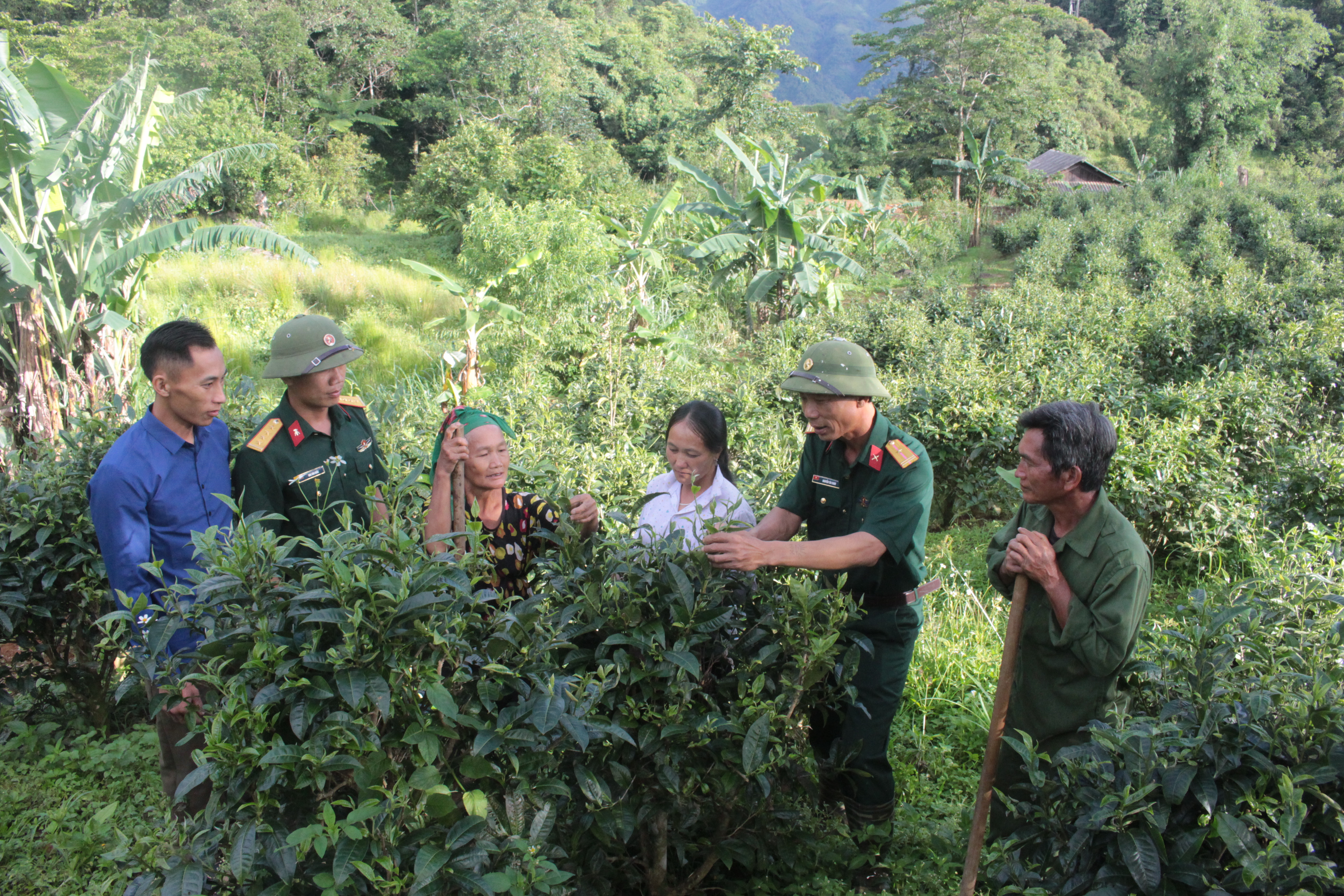 Chung sức giúp dân thoát nghèo